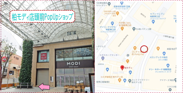 柏モディの地図